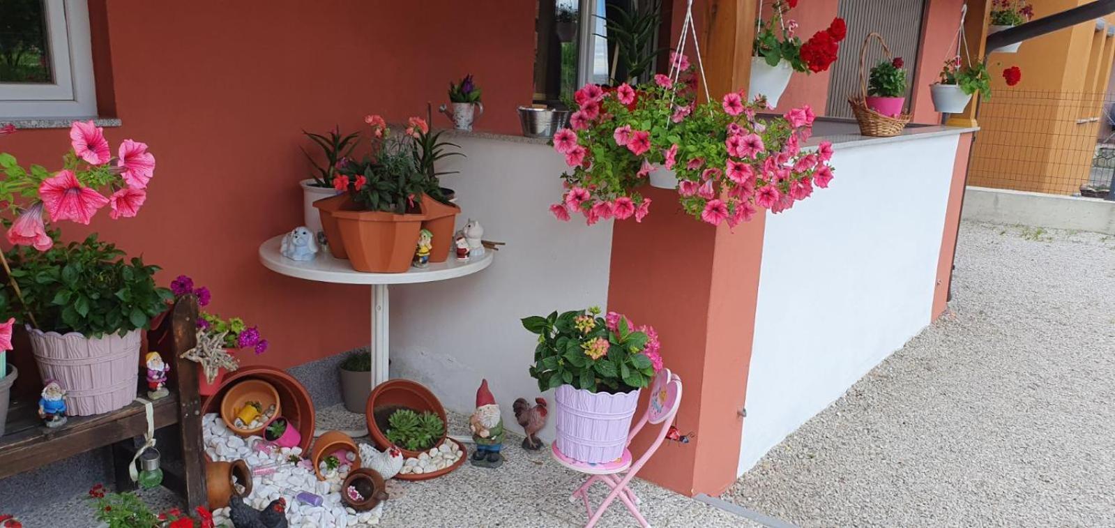 Apartment Leon Bihac