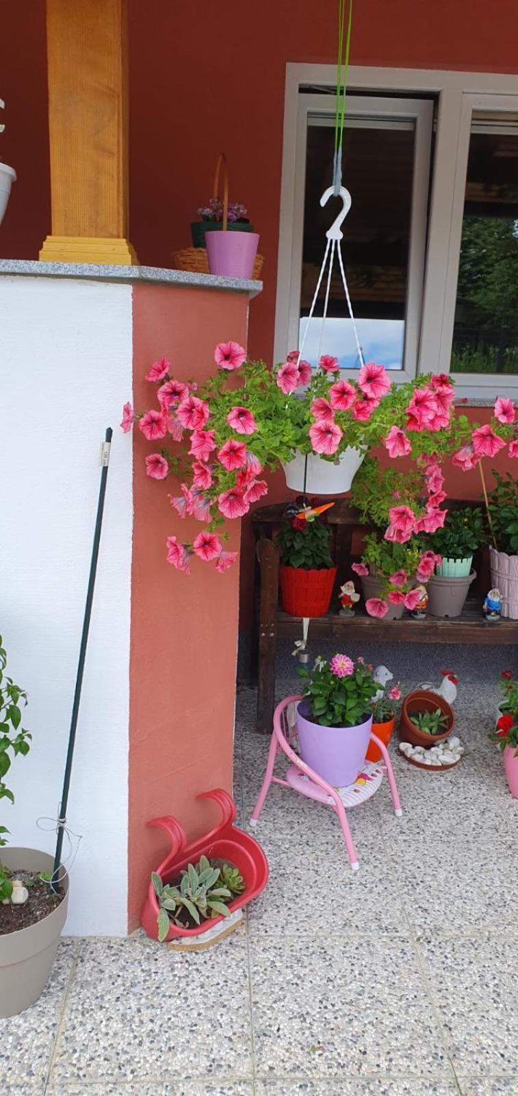 Apartment Leon Bihac